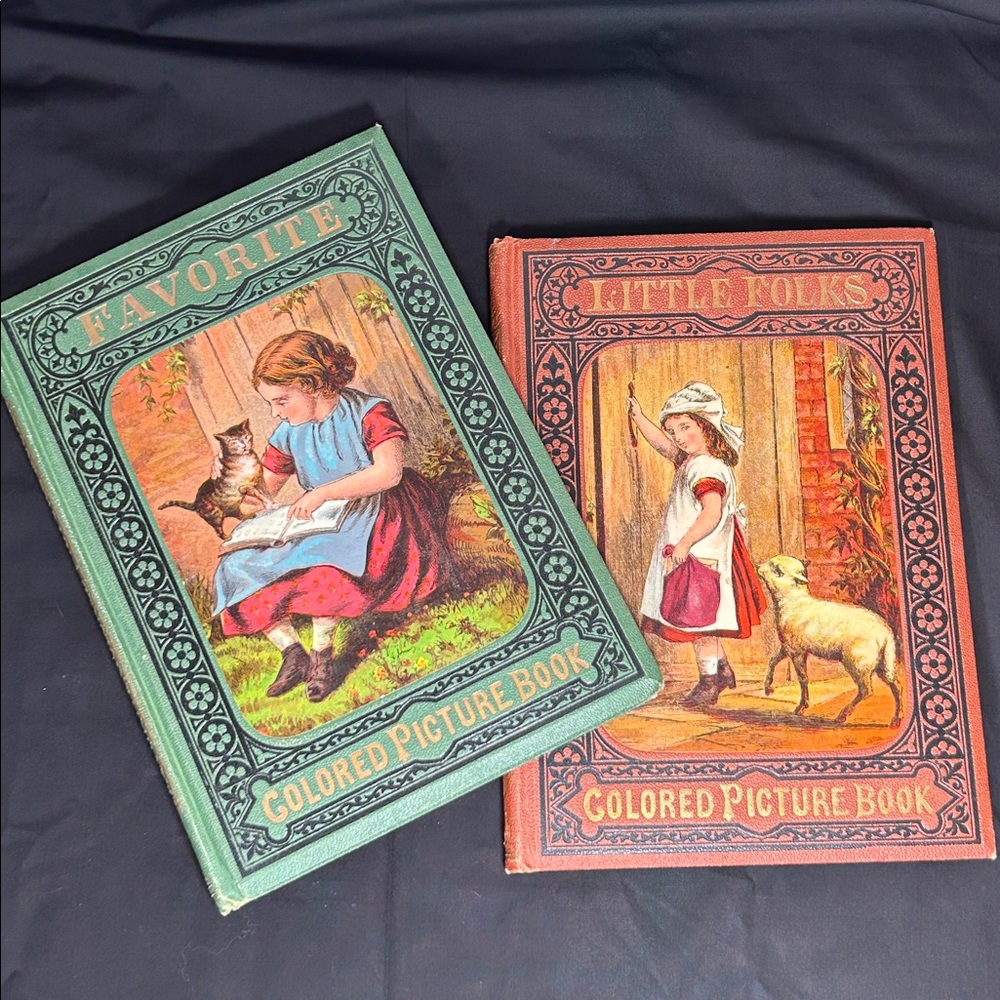 Vintage Colored picture books circa 1870s intricate hardcover with amazing art